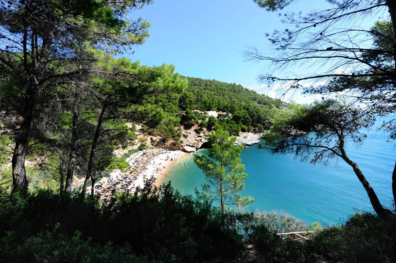 Pugnochiuso - Spiaggia.JPG